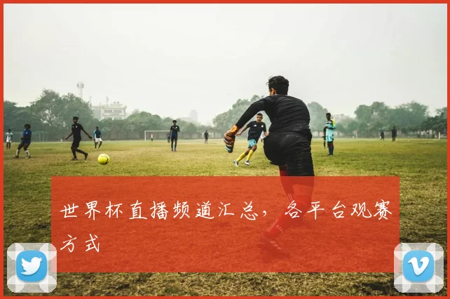 世界杯直播频道汇总,各平台观赛方式