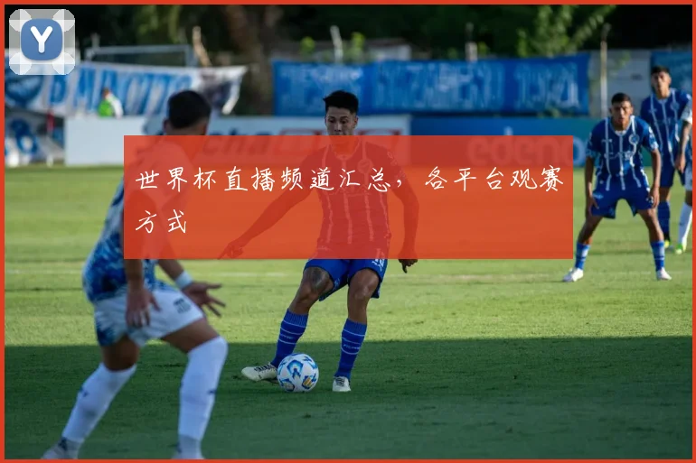 世界杯直播频道汇总,各平台观赛方式