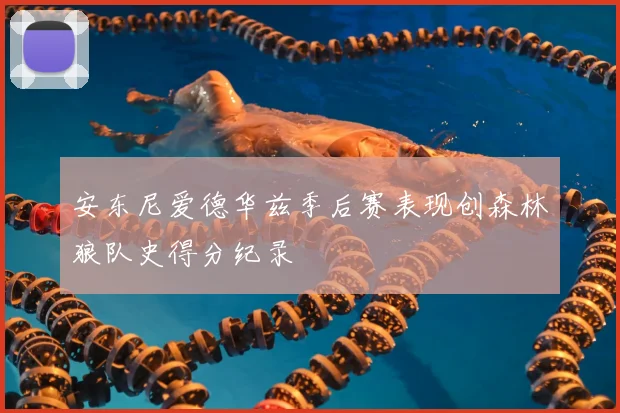 安东尼爱德华兹季后赛表现创森林狼队史得分纪录