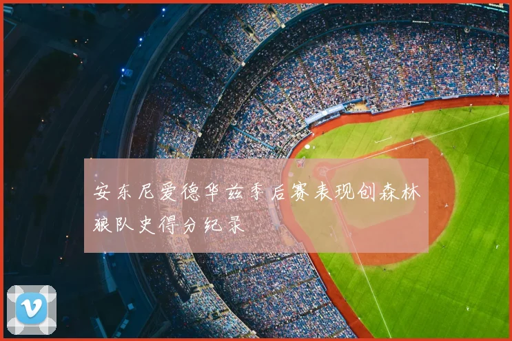 安东尼爱德华兹季后赛表现创森林狼队史得分纪录