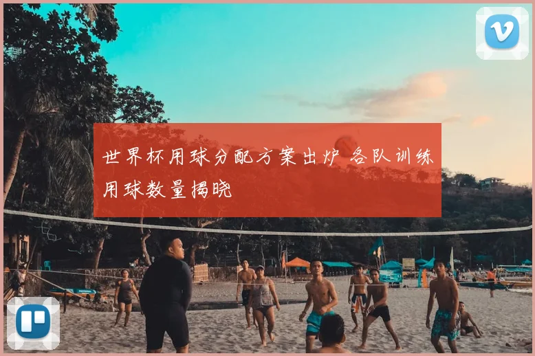 世界杯用球分配方案出炉 各队训练用球数量揭晓