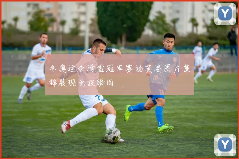 冬奥运会滑雪冠军赛场英姿图片集锦展现竞技瞬间