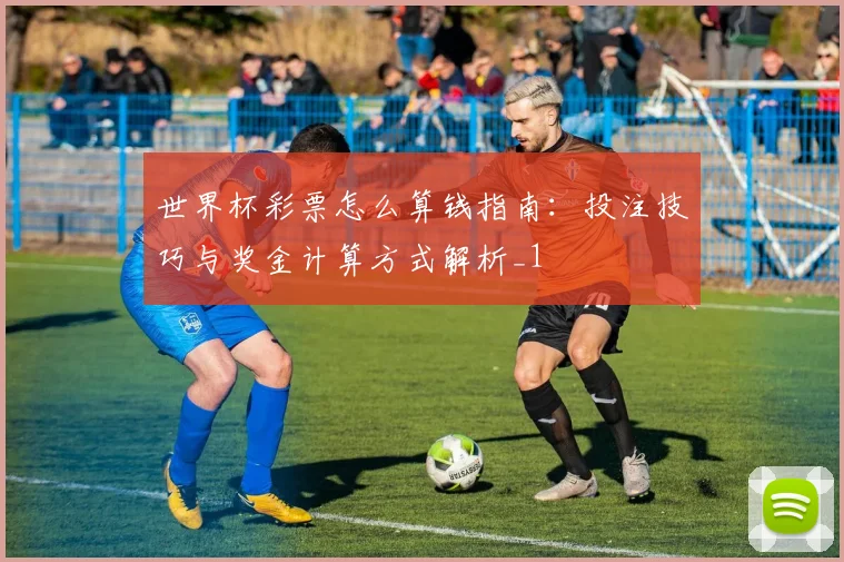 世界杯彩票怎么算钱指南:投注技巧与奖金计算方式解析_1