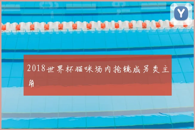 2018世界杯猫咪场内抢镜成另类主角