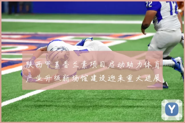 陕西甲基香兰素项目启动助力体育产业升级新场馆建设迎来重大进展