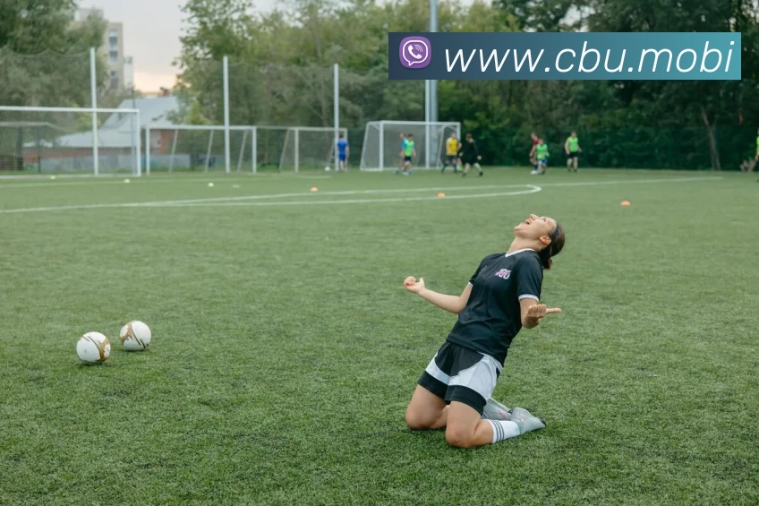 App Interface Preview